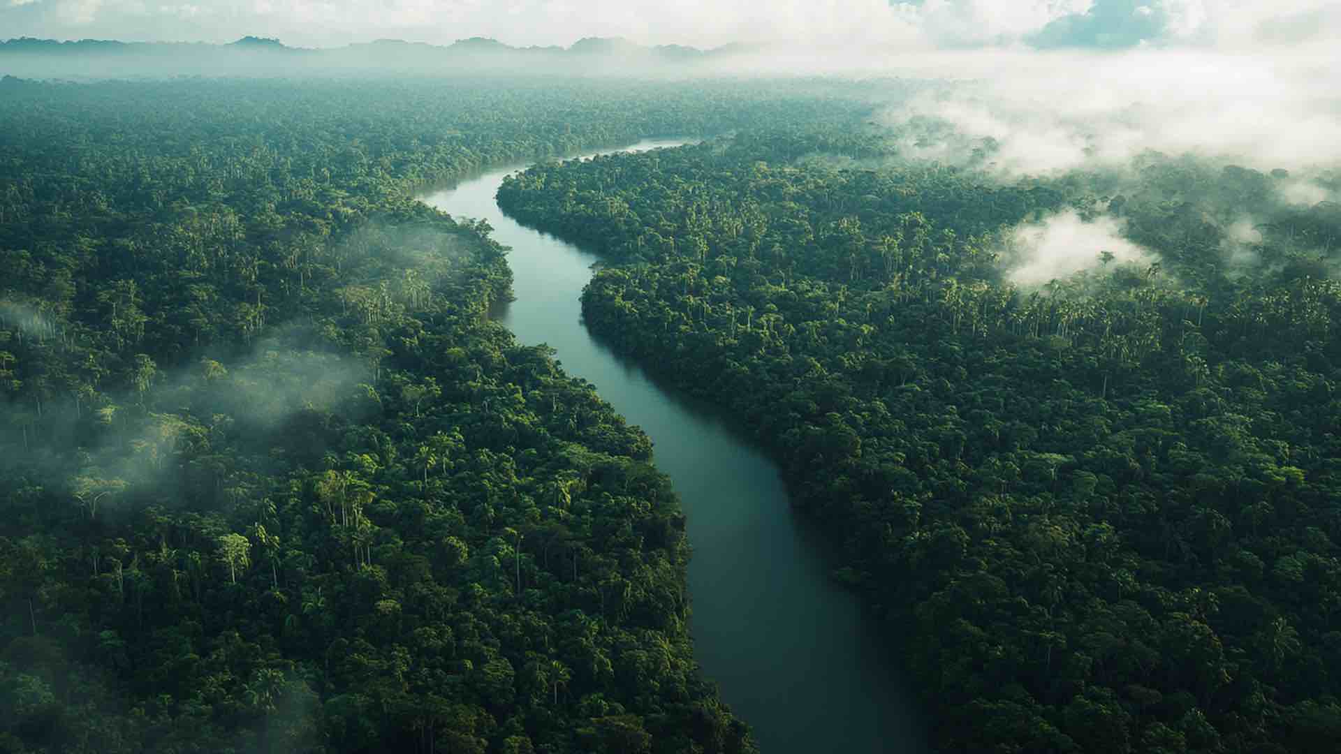 Amazon tributary hits historic low amid Brazil's ongoing severe drought